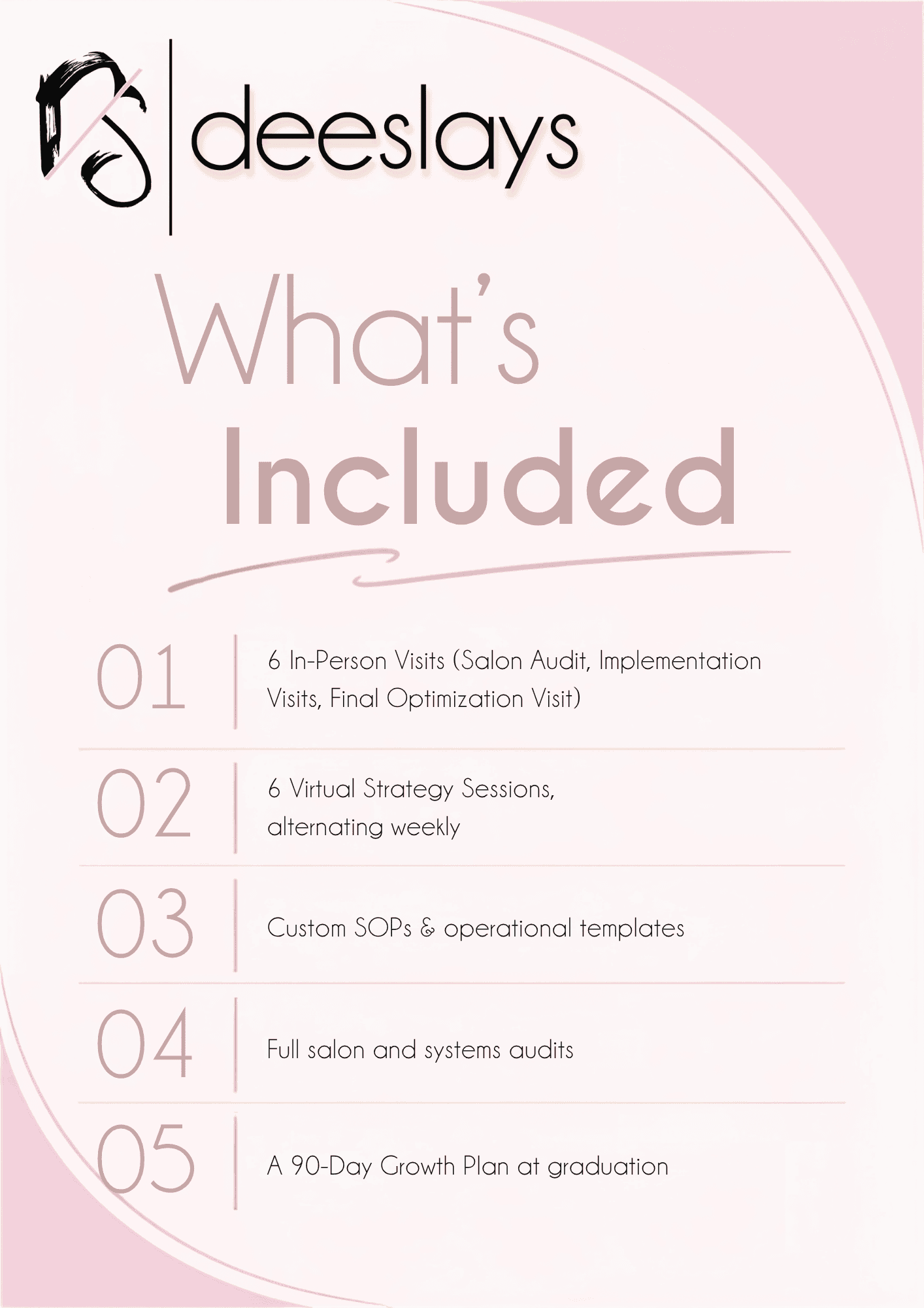 Salon Structure & Systems Implementation Program — Founding Cohort